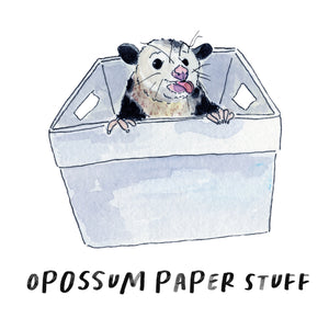 Opossum Paper Stuff
