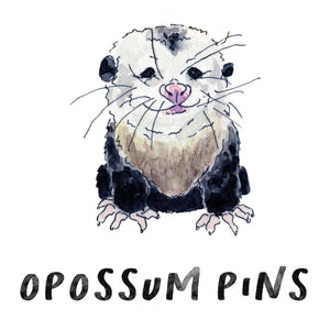 Opossum Pins