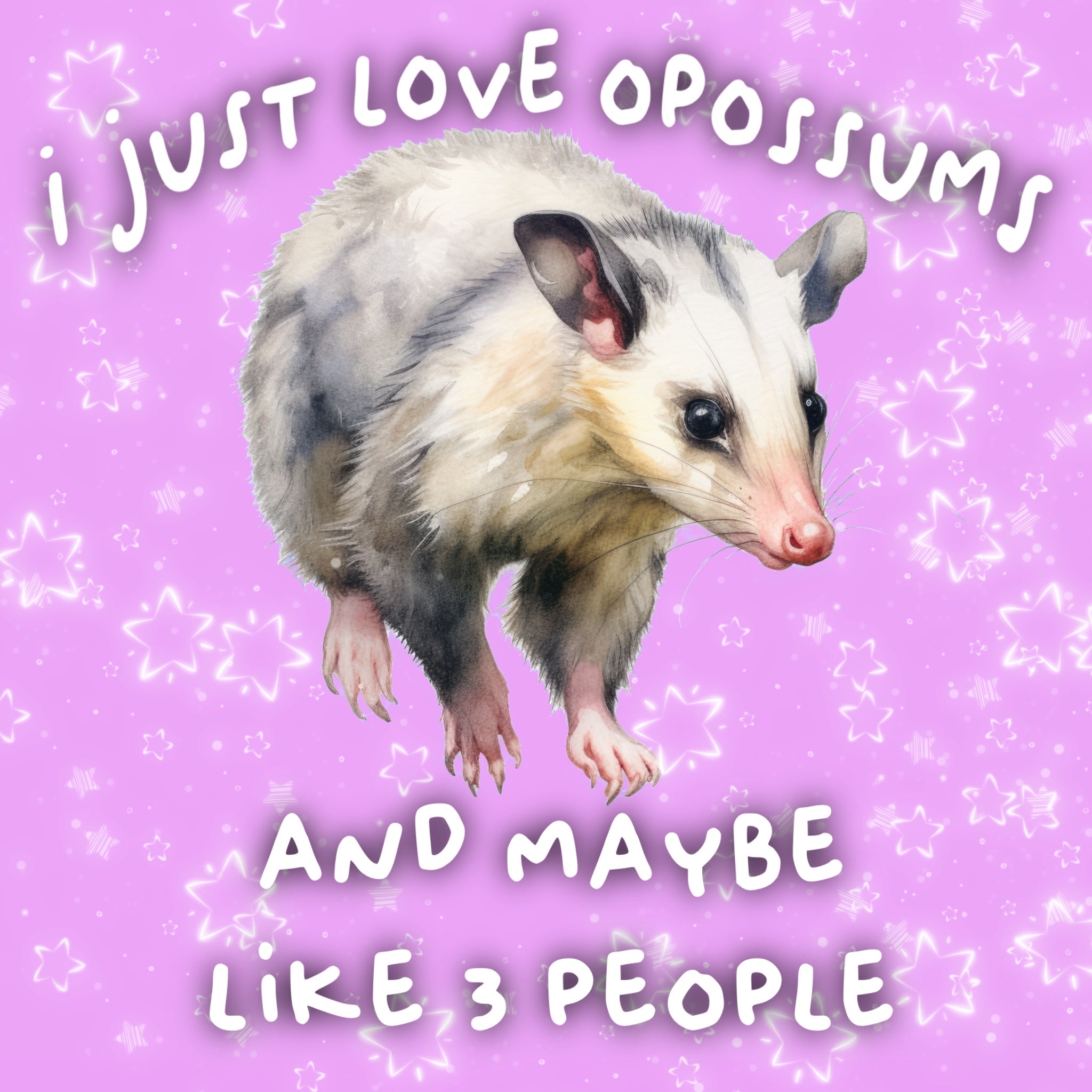 ‘I just love opossums’ magnet