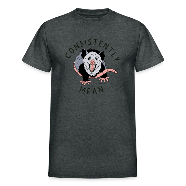 Consistently Mean Unisex T-Shirt - deep heather