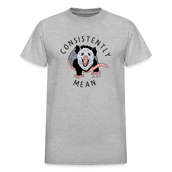 Consistently Mean Unisex T-Shirt - heather gray
