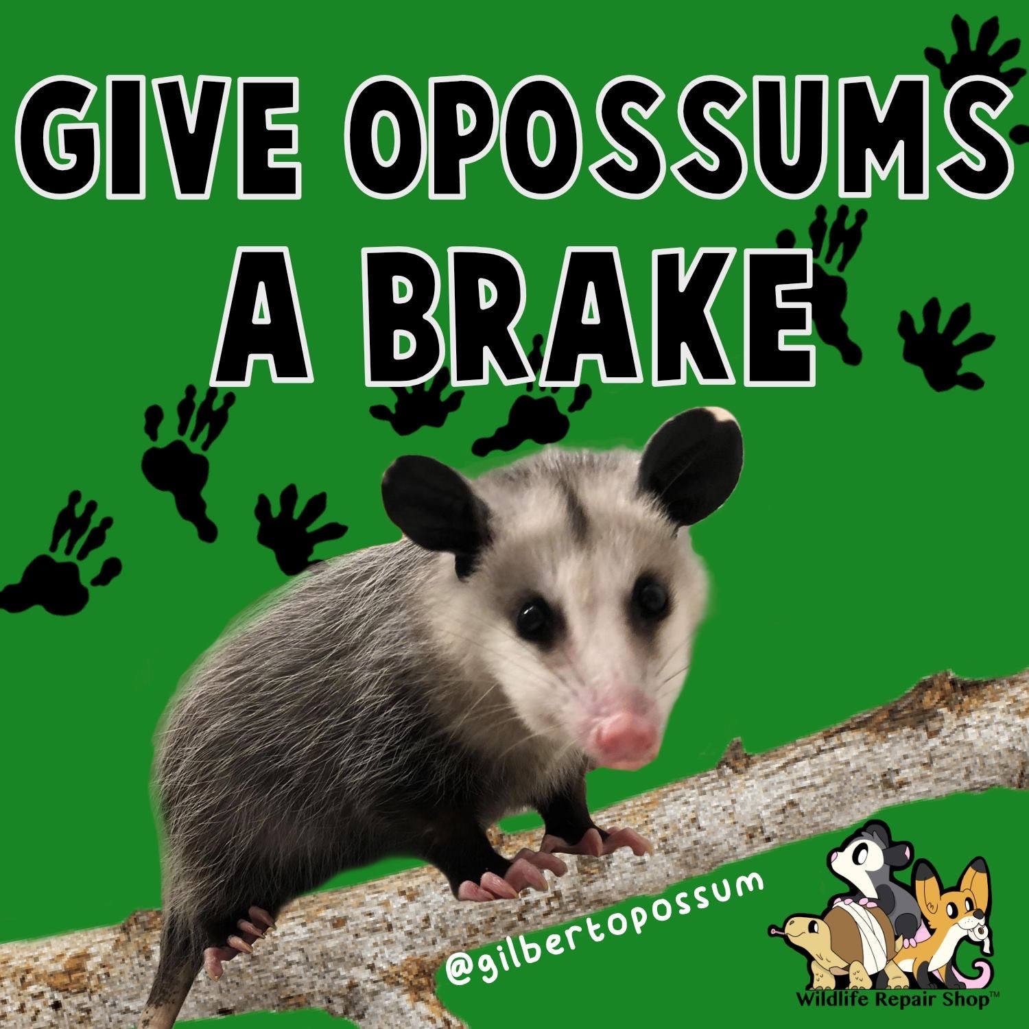 “Give Opossums a Brake” Car Magnet
