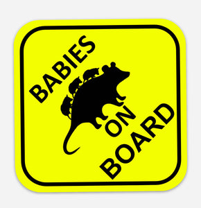 Opossum Babies on Board Car Magnet
