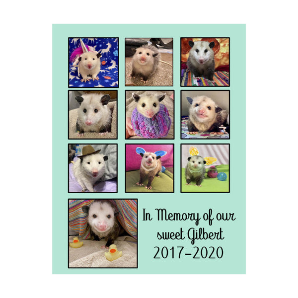Color-me-Opossum Coloring Book