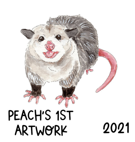 Peach's 1st Art 2021