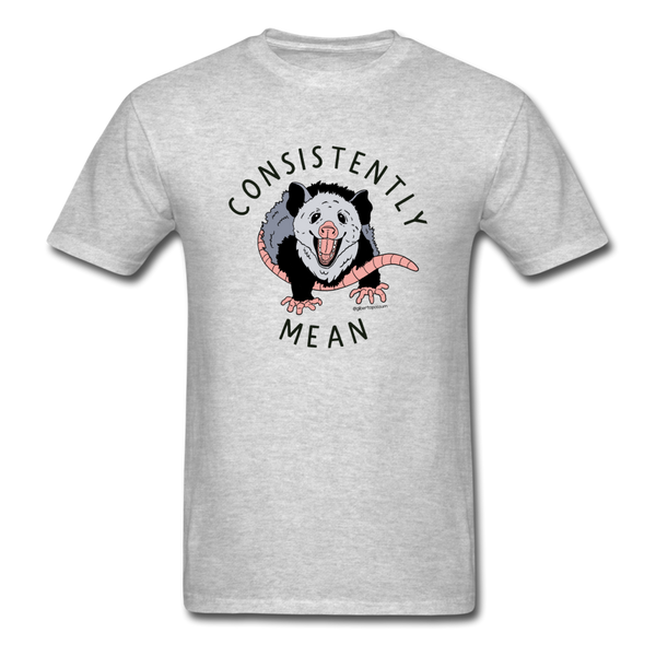 Consistently Mean T-shirt - heather gray