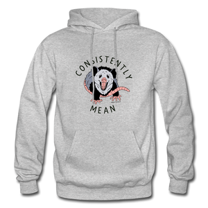 Consistently Mean -Heavy Blend Adult Hoodie - heather gray