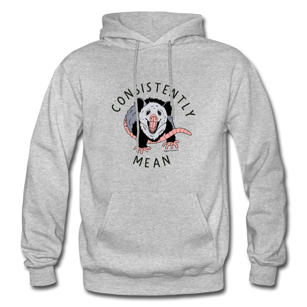 Consistently Mean -Heavy Blend Adult Hoodie - heather gray