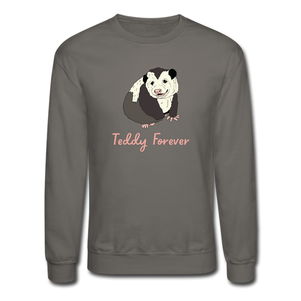 Teddy Forever Crewneck Sweatshirt - asphalt gray
